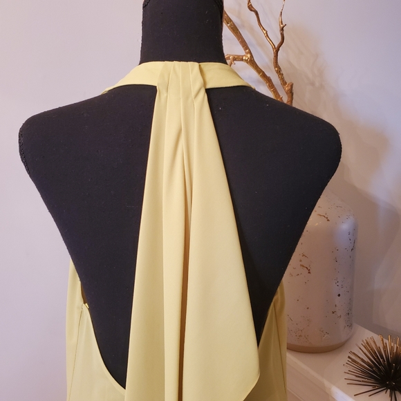 🔥BCBGMAXAZARIA Draped Back Halter Top - Picture 8 of 15